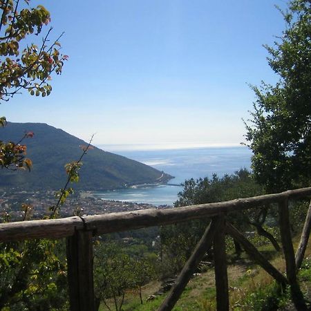 Casa Vacanze Cilento Torraca Eksteriør billede